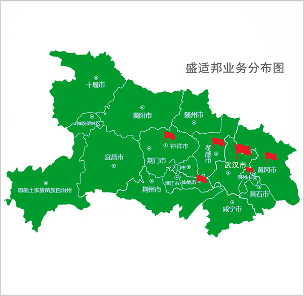 重慶醫(yī)藥集團湖北盛適邦醫(yī)療器械有限公司